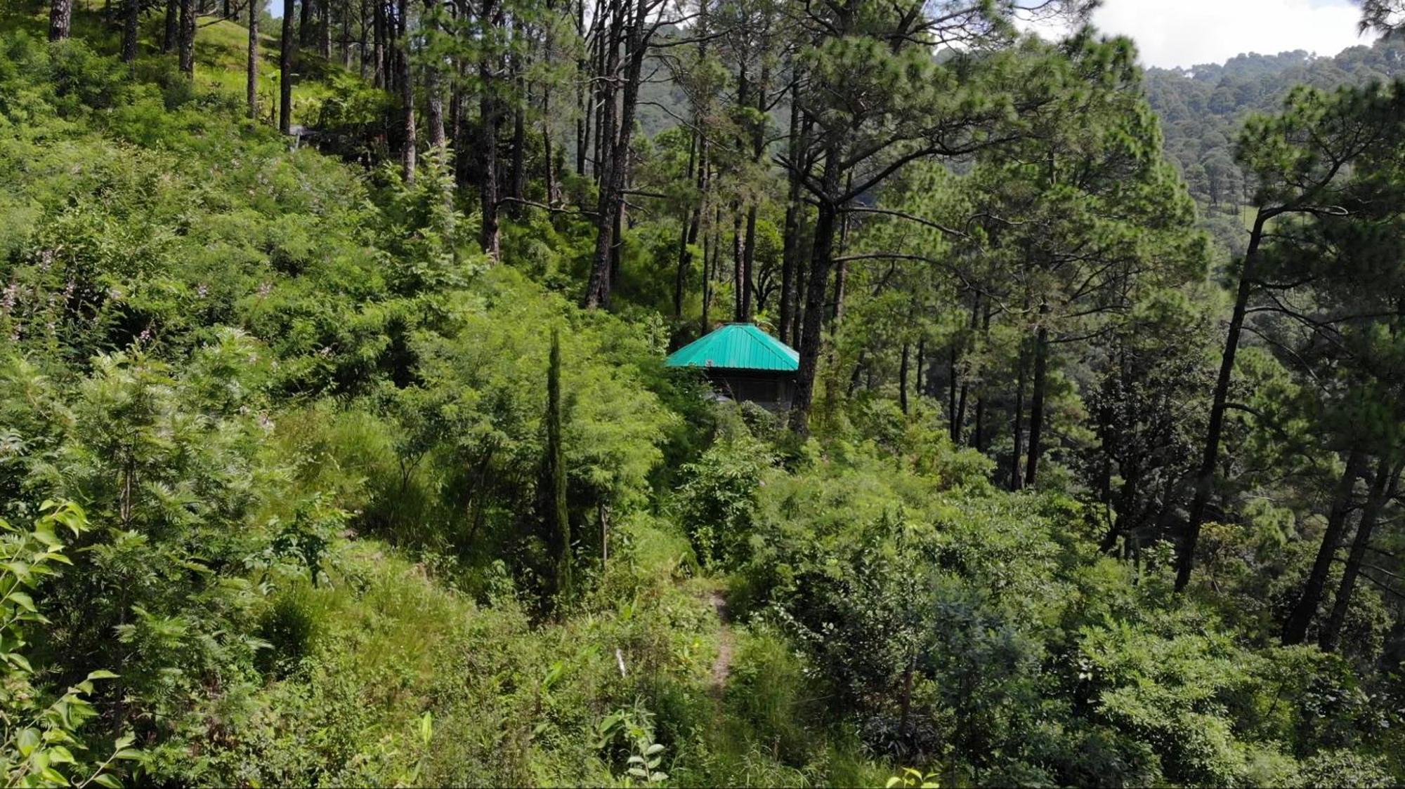 Heal Farm - Himalayan Eco Alternative Lifestyle For Agriculture Recreation And Meditation Nainital Buitenkant foto