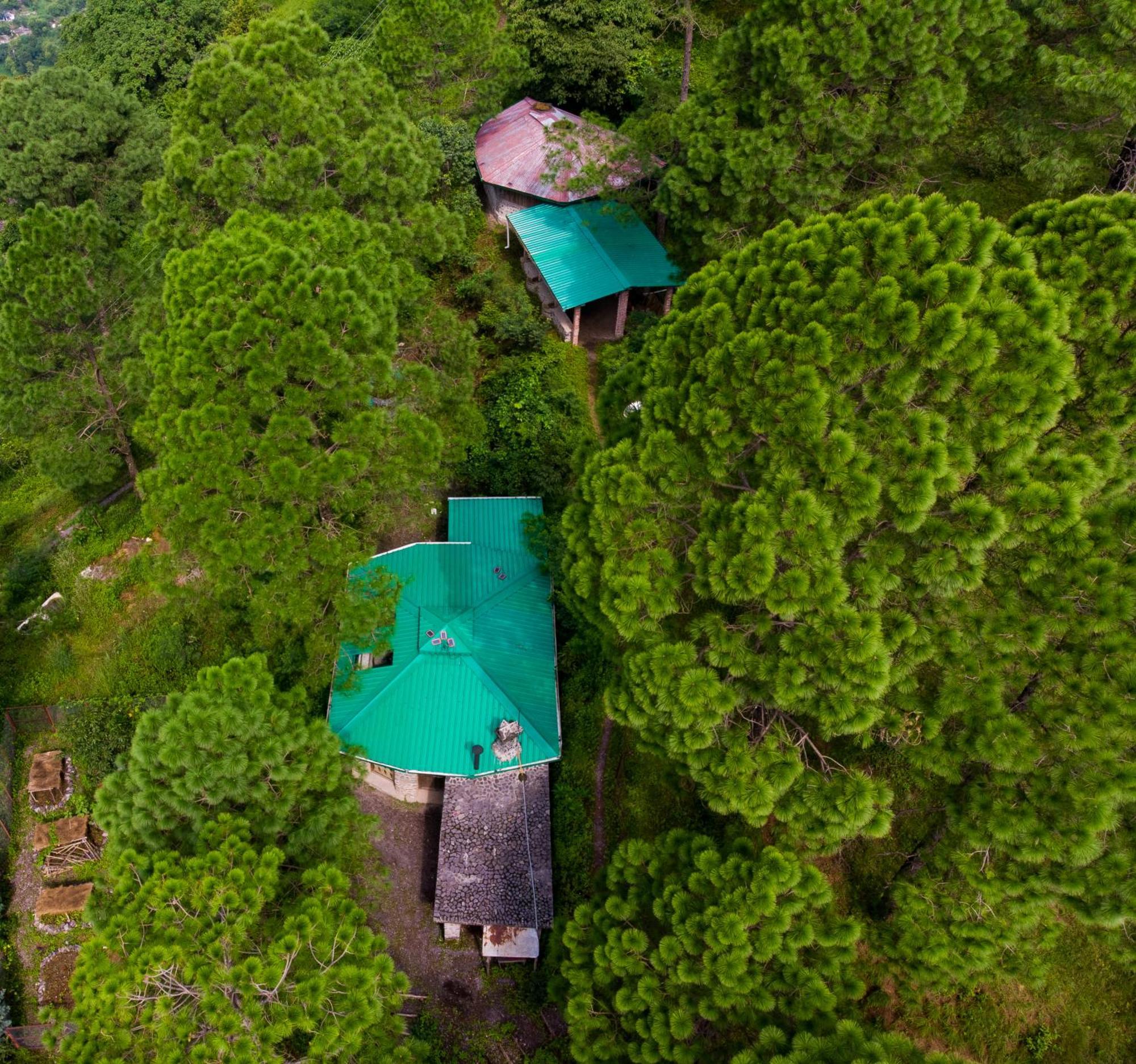 Heal Farm - Himalayan Eco Alternative Lifestyle For Agriculture Recreation And Meditation Nainital Buitenkant foto