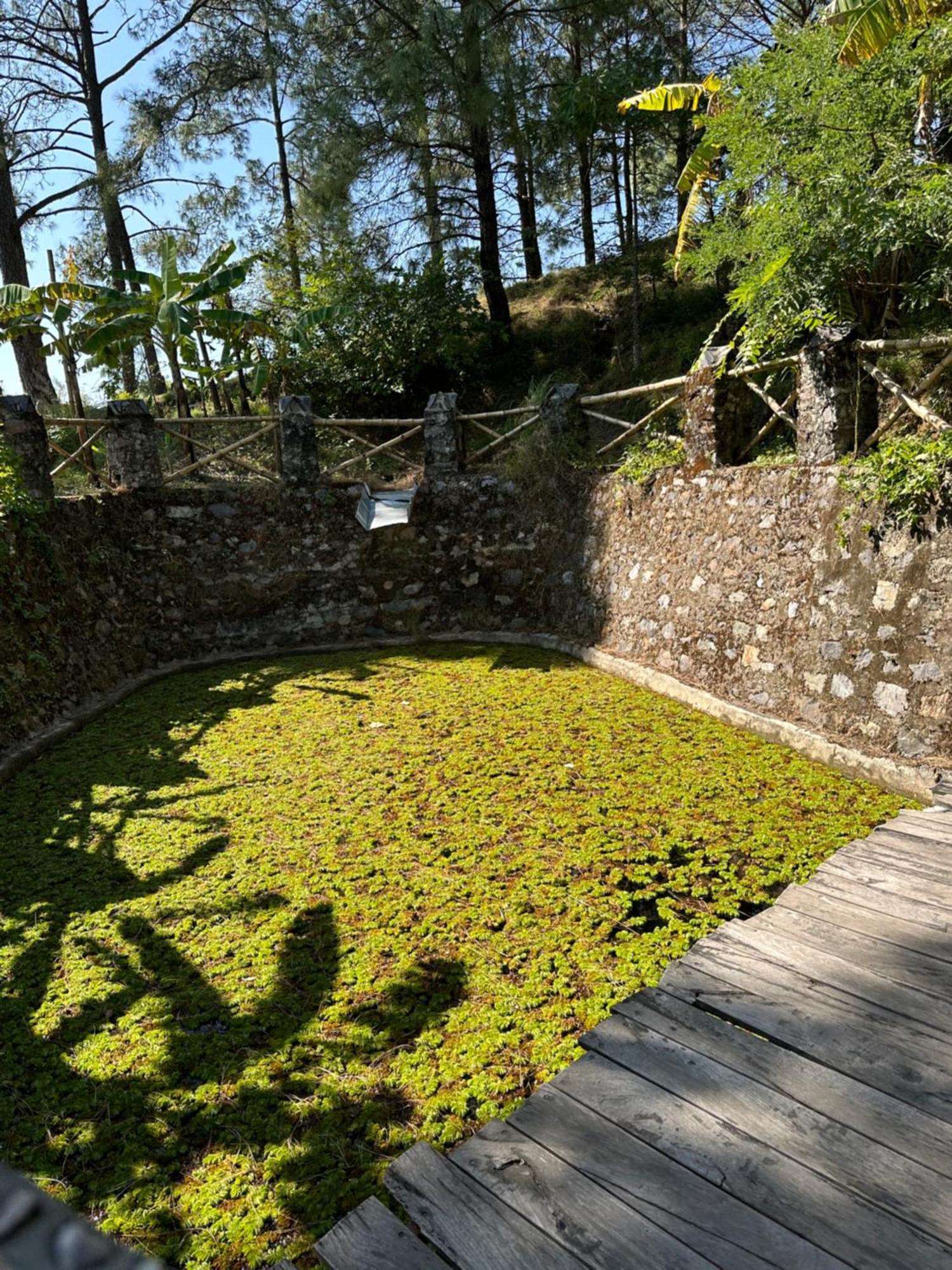 Heal Farm - Himalayan Eco Alternative Lifestyle For Agriculture Recreation And Meditation Nainital Buitenkant foto